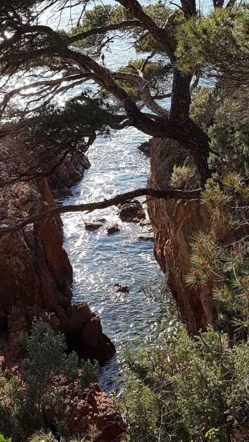 Saint Raphael, Cap Esterel Le Hameau. Vue Mer Exterior foto